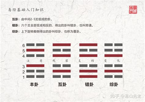 初爻|爻象全攻略：一次學會易經卦象中的所有爻位與陰陽變化